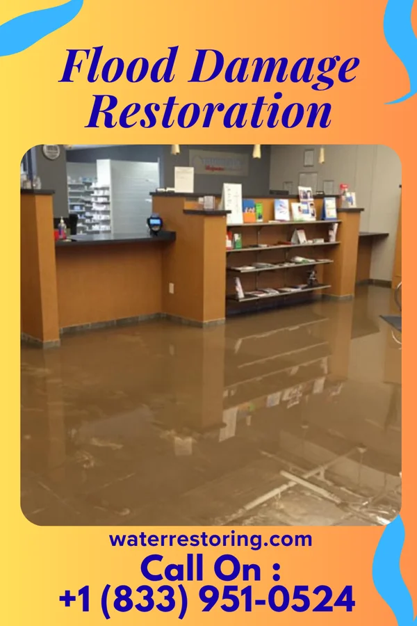 Flood Damage Restoration in Caesars Head, SC