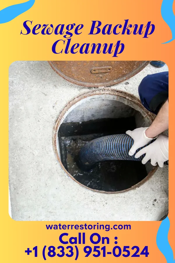 Sewage Backup Cleanup in Caesars Head, SC
