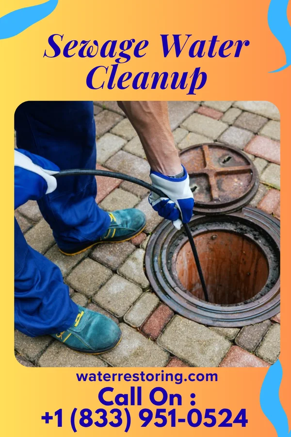 Sewage Water Cleanup in Caesars Head, SC