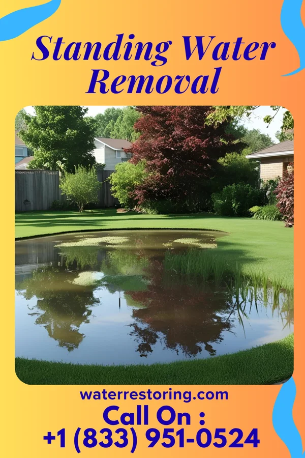 Standing Water Removal in Caesars Head, SC